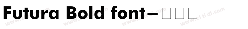 Futura Bold font字体转换